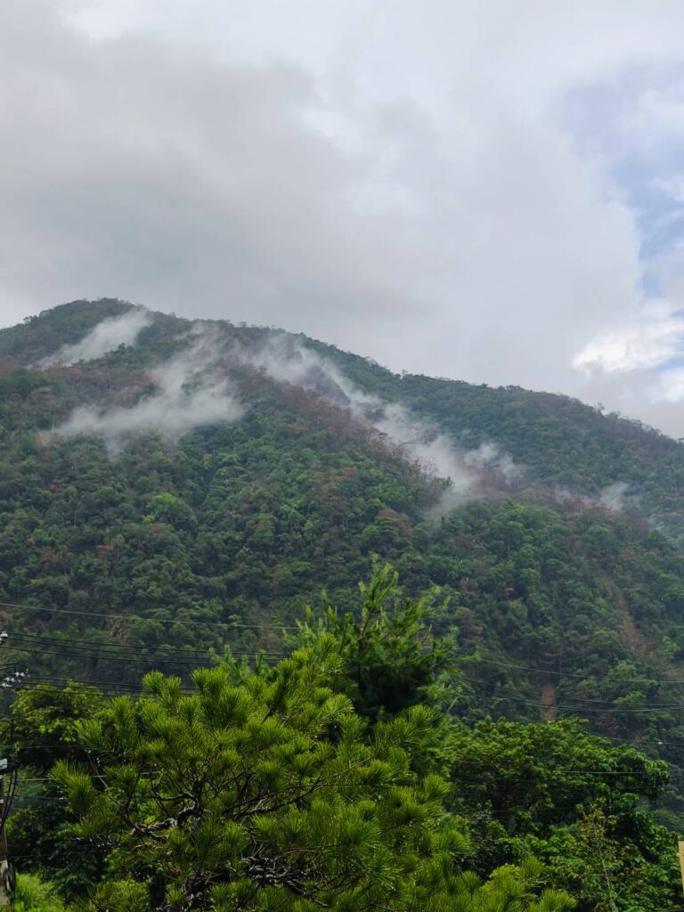 松雨庭